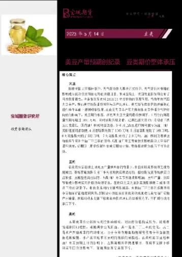 期货棕榈参照美豆吗(怎么买美豆期货)