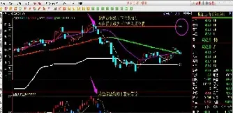 只看报价怎么做期货交易(只看价格做期货)