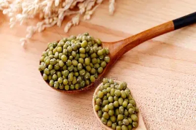 绿豆期货读后感(绿豆期货的感悟)