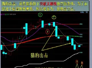 期货结算昨仓是什么意思(期货中的昨结是什么意思)