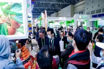 国际农产品期货交易时间(美国农产品期货交易时间)