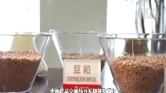 期货里面的黄豆怎么买(期货怎么买粮食)