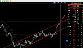 美玉米期货大涨原因是什么(美盘玉米期货下跌原因)_https://www.dglong8.com_理财品种_第1张
