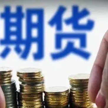 内需型商品期货(把握内因商品期货成功投资学)