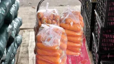 蔬菜期货怎么回事(蔬菜期货市场近期行情)