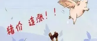 猪肉期货近期回落(猪肉期货走势图分析)