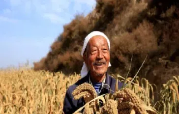 农民种地不容易研究期货行情(农民种地不容易研究期货行情的原因)