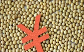 豆类期货会涨吗(豆类期货的走势)