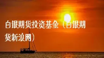 国投白银期货基金以哪个白银(白银期货基金有哪些)