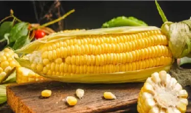 玉米期货的交易(玉米期货的交易成本2024年)