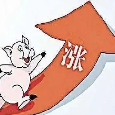 猪肉期货涨为什么股价下跌(猪肉期货是利空还是利好)