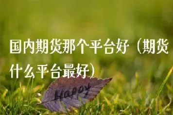 国内有那些期货(国内有那些期货品种)