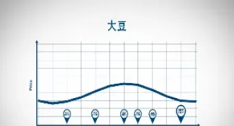 大豆期货的地位(15年大豆期货)