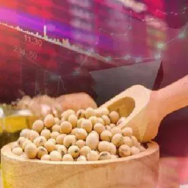 豆粕期货创新高(最新豆粕期货etf)