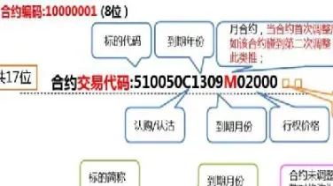 期权期货交易编码(期权交易编码和期货交易编码一样吗)