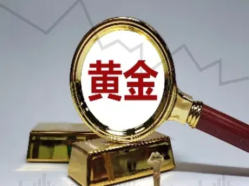 国内黄金期货在哪交易(上海黄金期货交易规则)