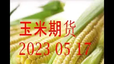 玉米期货交易有夜盘吗(玉米期货交易有夜盘吗现在)