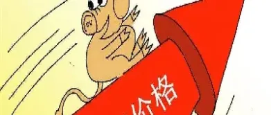 生猪期货什么时候涨价(生猪期货什么时候涨)