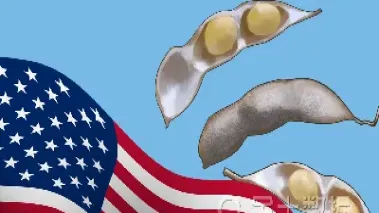 美国期货大豆计量单位(美国天然气期货计量单位)