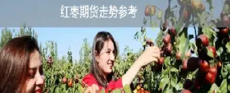 期货红枣生产成本低于5000(期货红枣如何购买)