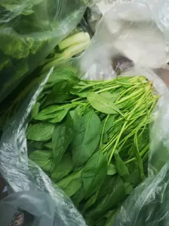 蔬菜有没有期货(蔬菜有没有期货市场)