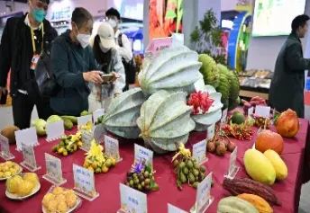 海南农产品期货品种(国际农产品期货品种包括)