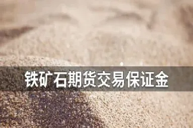 期货铁矿石如何计算点数(期货铁矿石如何计算点数和价格)