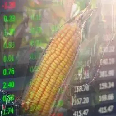 美国玉米期货为什么猛跌(美国玉米期货价格最新行情)