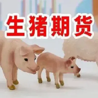 生猪期货后市怎么走(生猪期货实时行情走势图)_期货开户_第1张_宇龙理财网 生猪期货后市怎么走(生猪期货实时行情走势图)_https://www.dglong8.com_期货开户_第1张