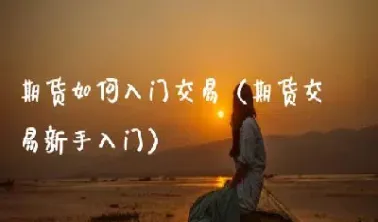 新手如何进入期货行业(新手期货做什么品种)