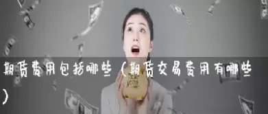 期货每笔交易费用多少(期货一次交易手续费)