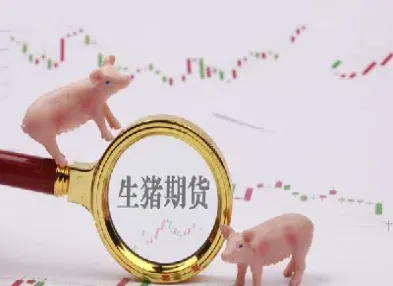 瘦肉猪期货超赞金融解答(瘦肉猪期货)