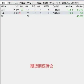 期货商品查询历史交易明细(期货历史账单查询)