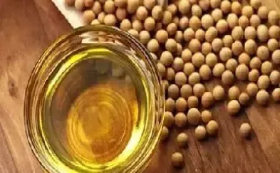期货豆油这个品种怎么样(豆油期货跟什么有关系)