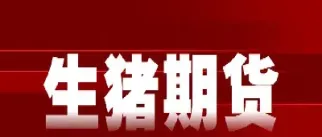生猪期货不享受套期保值额度(生猪期货套期保值什么意思)