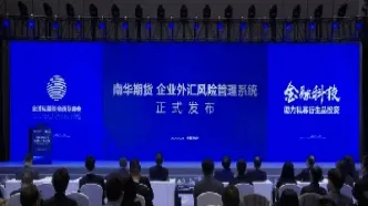 南华期货外汇佣金(南华期货可以做外盘期货吗)