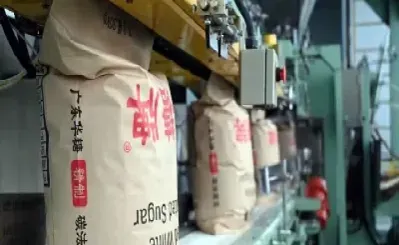 白糖期货期权清算所(白糖期权在哪里交易)