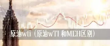 期货与美原油的区别(期货美燃油和国内燃油区别)