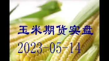 玉米期货交易时间几点到几点(玉米期货交易时间怎么规定)