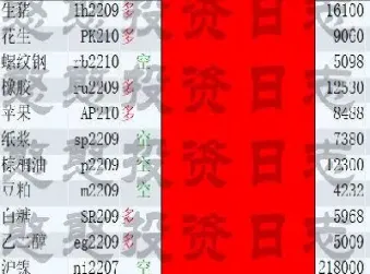 沪镍有期货的代码(沪银期货代码是什么)