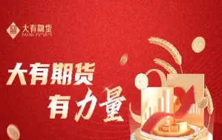 大有期货的组织形式(大有期货上市进展)