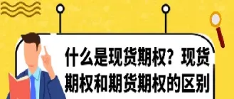 期权和期货分别是什么(期权和期货分别是什么意思)