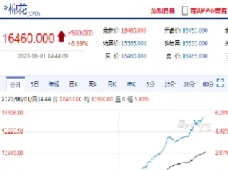 棉花期货05合约和09合约(棉花期货09合约走势)