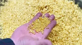 纽约黄金期货微跌(纽约黄金期货微跌原因)