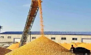 玉米期货交易中(玉米期货交易中有哪些费用)