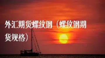 理财投资期货螺纹钢(期货螺纹钢投资策略)