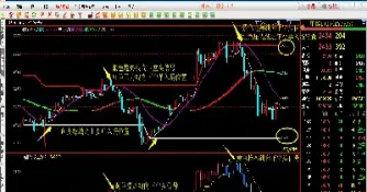 期货期权成本不同(期权当天买卖的成本)