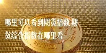 哪里可以看股指期货交易行情直播(股指期货哪里看)