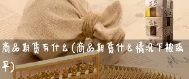 什么商品适合期货交易(上海期货交易实时行情)