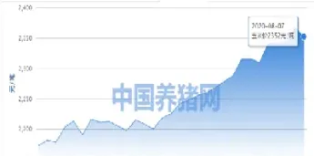 为什么玉米期货下跌行情分析(玉米期货为什么一直跌)